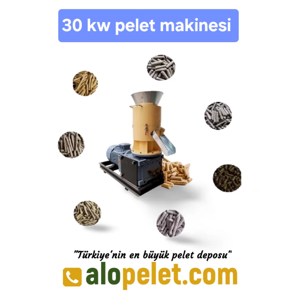 30 KW  PELET MAKİNASI