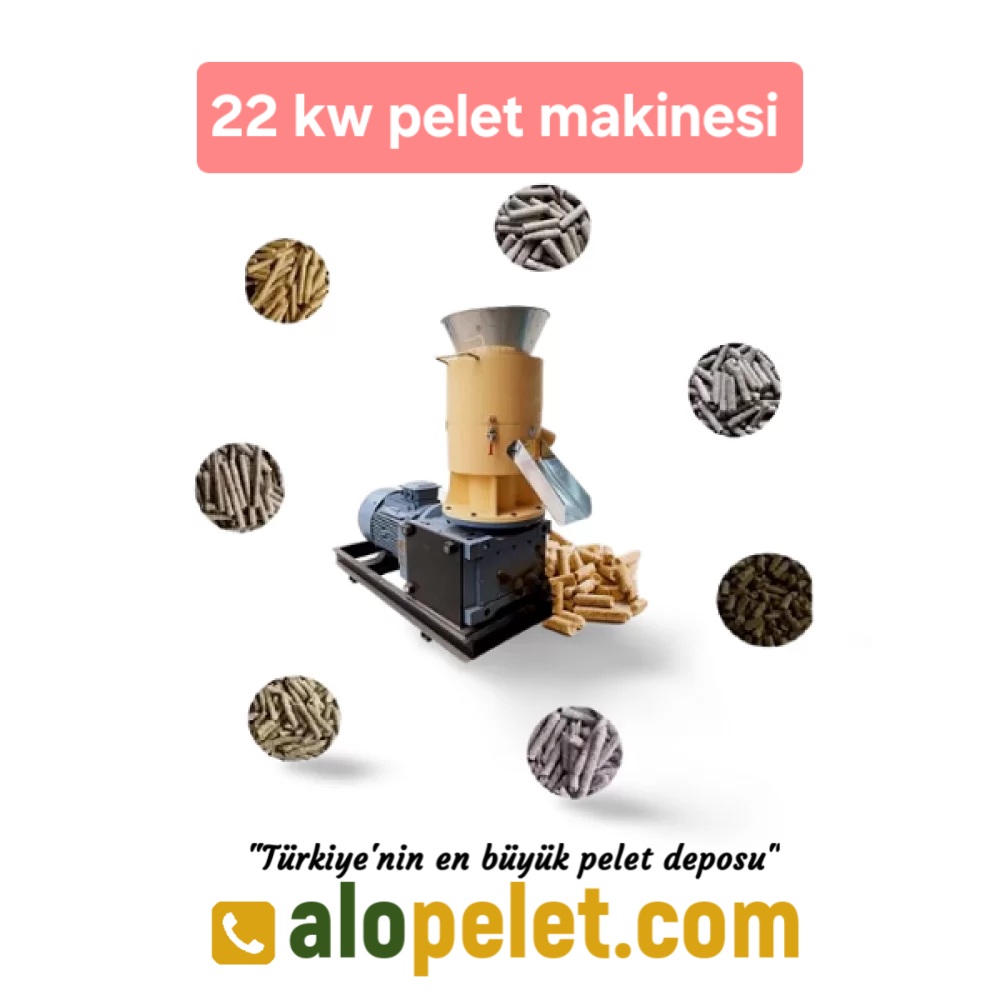22 KW TALAŞ  PELET MAKİNASI