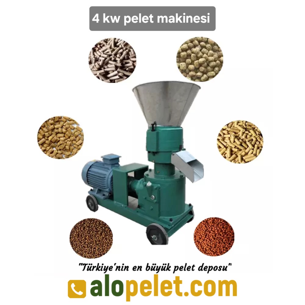 4 kw kücük pelet makinesi