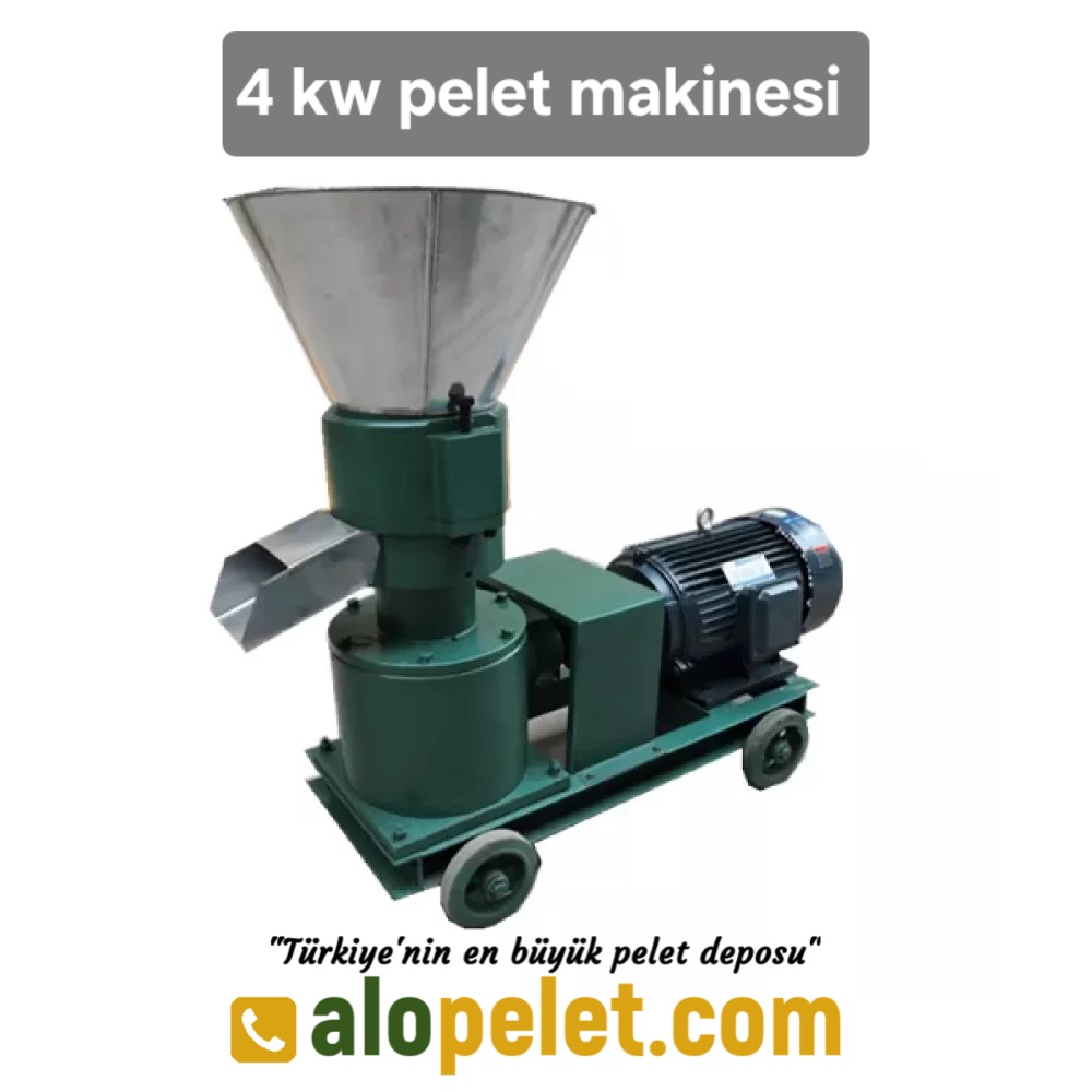 4 kw kücük pelet makinesi