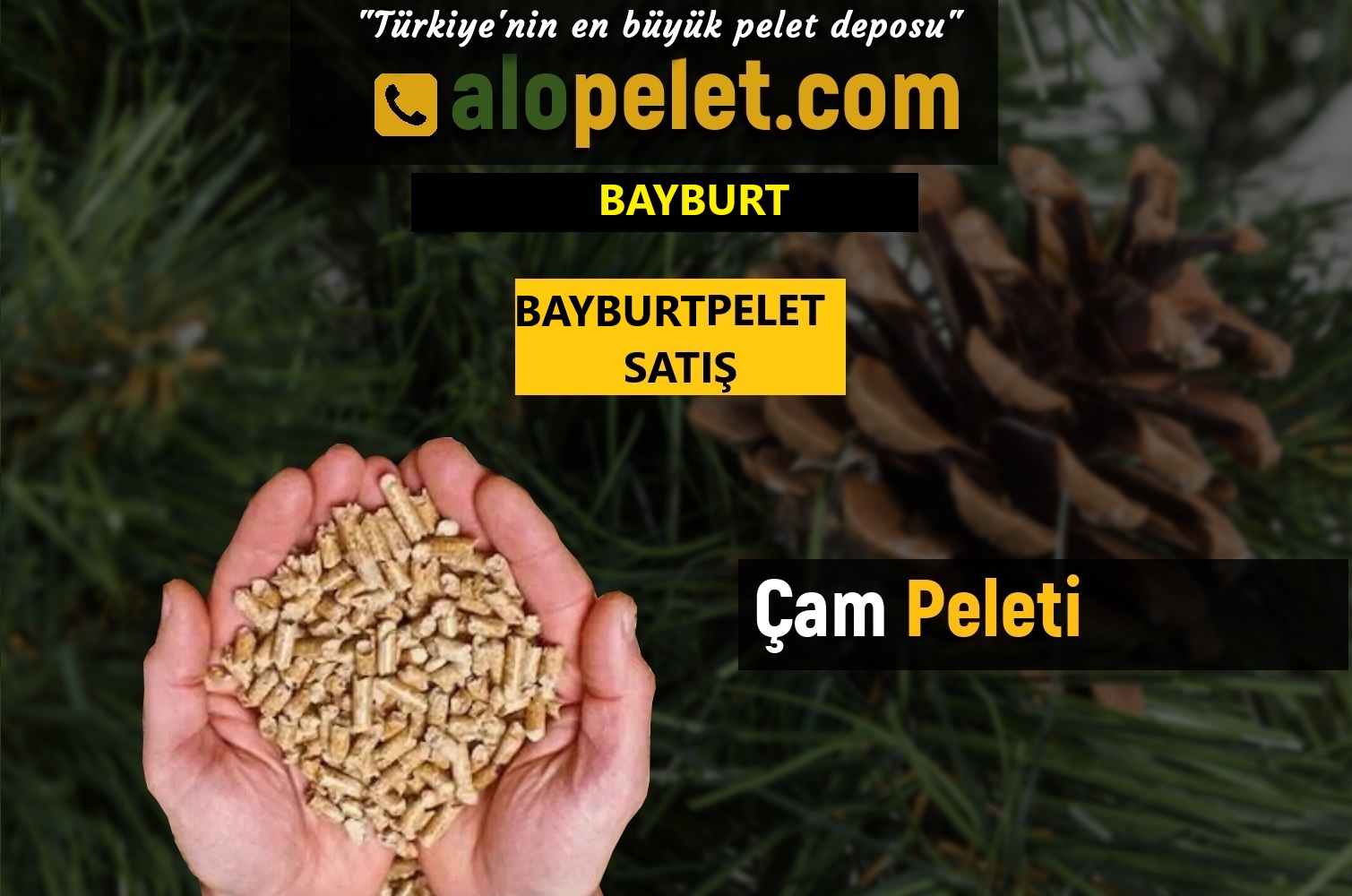 bayburt çam pelet fiyatları