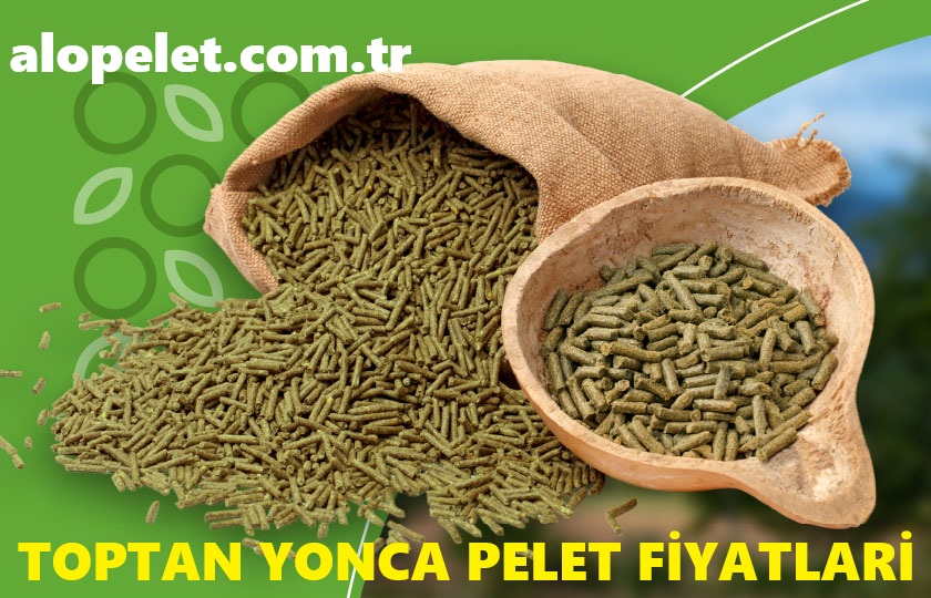 Toptan Yonca ve Pelet Fiyatları (2025 Güncel Fiyatlar)